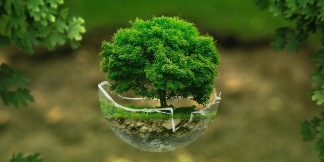 VERSO TRAGUARDO NET ZERO