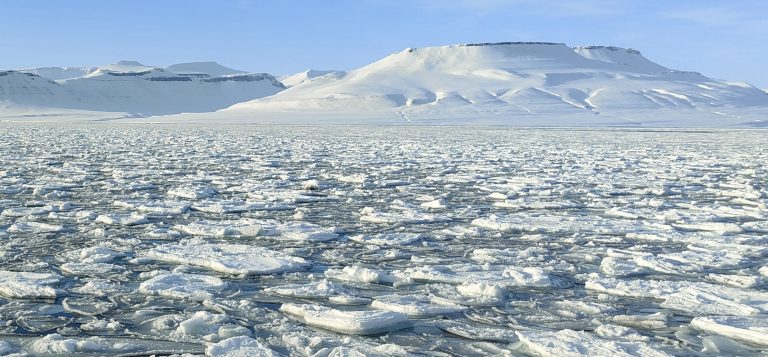 SPEDIZIONE ALLE ISOLE SVALBARD: A RISCHIO ORSO POLARE, FOCHE E…NON SOLO.
